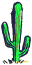 kaktus1.gif